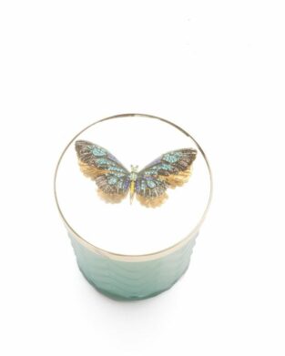 Butterfly Candle with Scarf